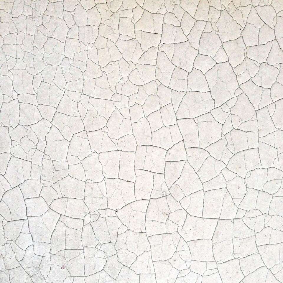 "Daily practice" denn: Struktur schafft Freiheit