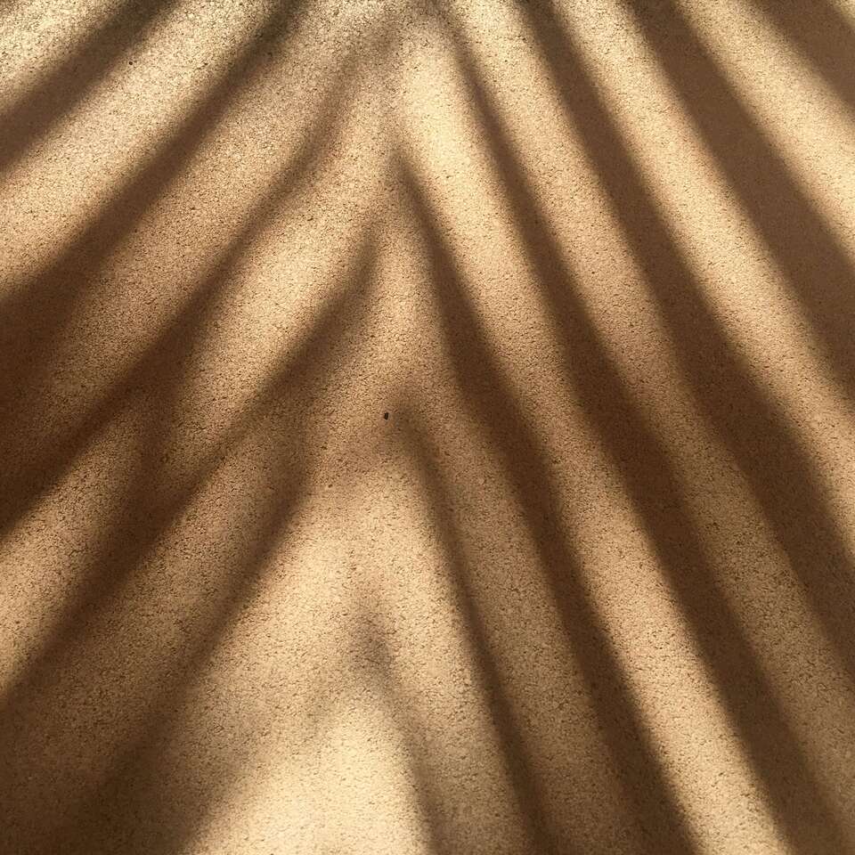 EMDR - die Champions League der Traumaarbeit