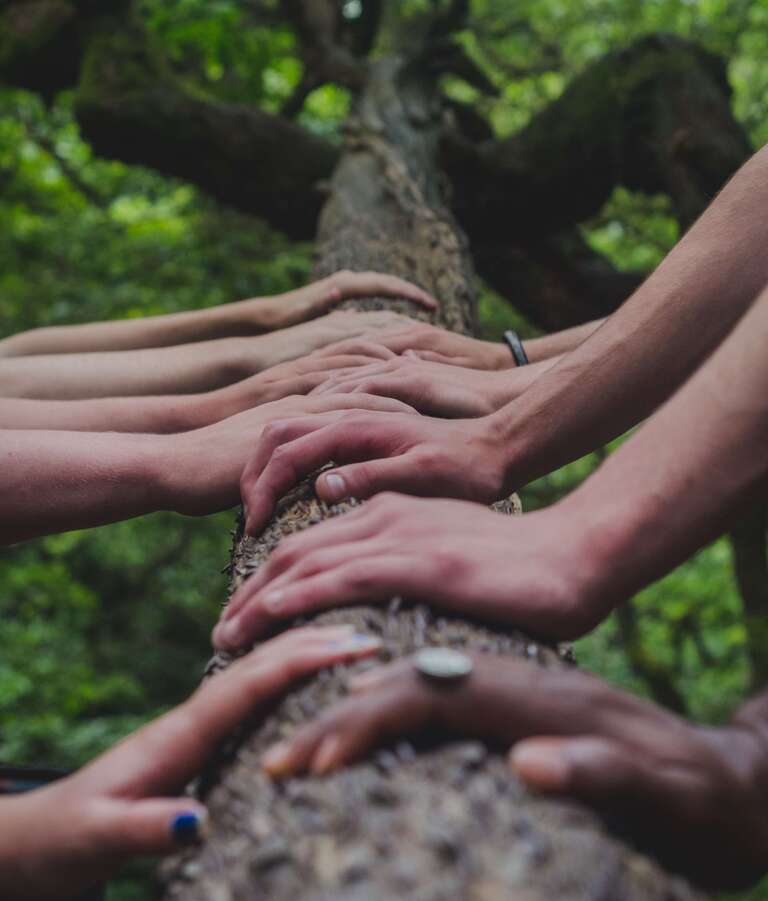 Das Graves Modell beispielhaft erklärt – Stufe 6 Das soziale Netzwerk